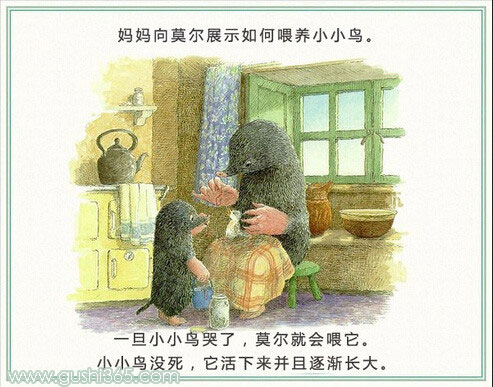 鼹鼠和小鸟