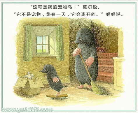 鼹鼠和小鸟