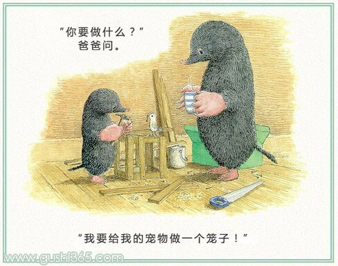 鼹鼠和小鸟