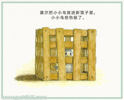 鼹鼠和小鸟