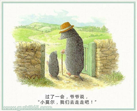 鼹鼠和小鸟